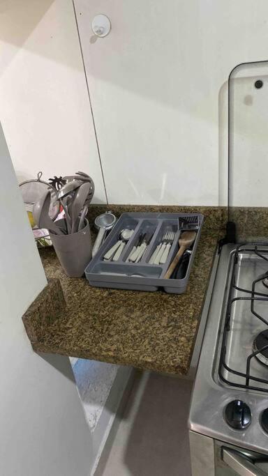 Apartment Ipanema Alto Padrao, 03 Quartos Com Suite, 03 Banheiros, Portaria 24h